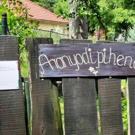 Aranyodi Piheno Affittacamere Zalaszentgrót Esterno foto