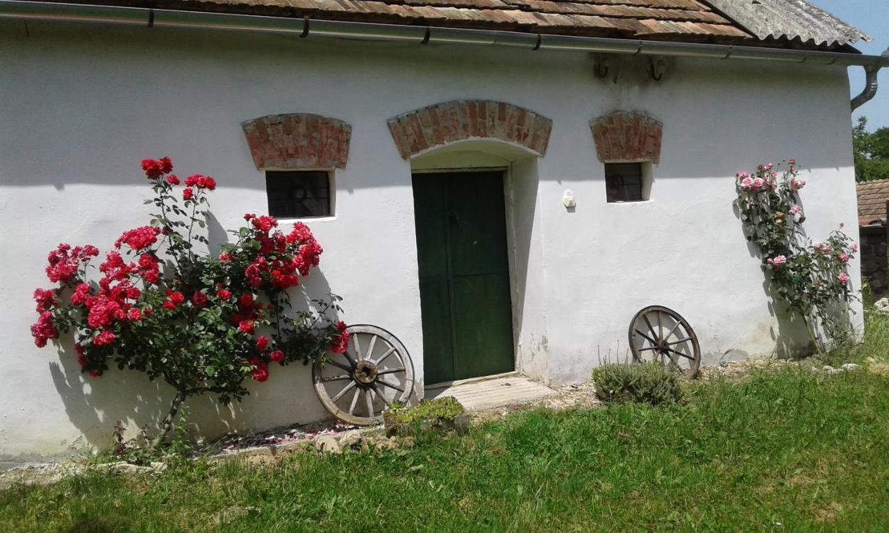 Aranyodi Piheno Affittacamere Zalaszentgrót Esterno foto