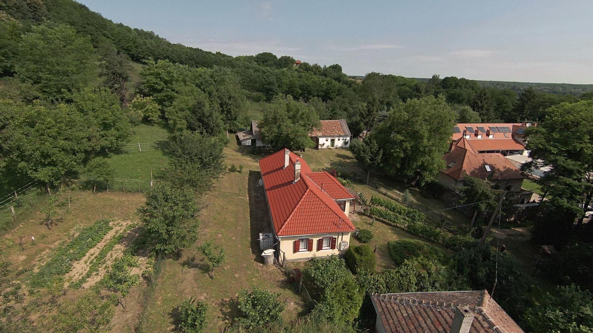 Aranyodi Piheno Affittacamere Zalaszentgrót Esterno foto